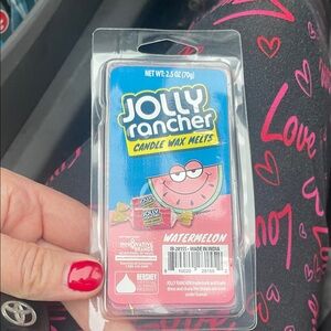 Watermelon Candle Wax Melts